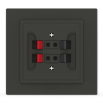 Multimedia